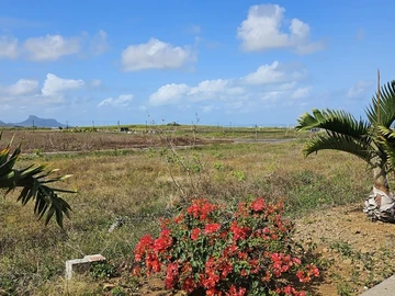 Residential Land