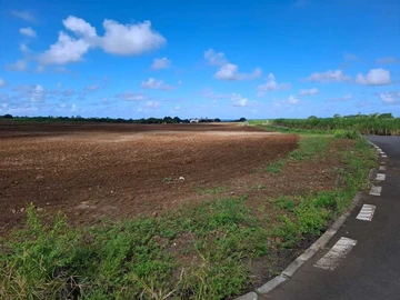 Commercial Land