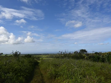 Agricultural Land