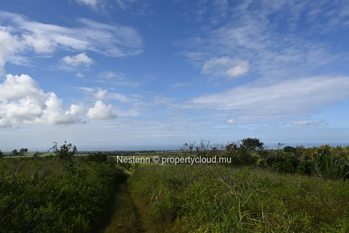 Agricultural land of 12,664 m² 
