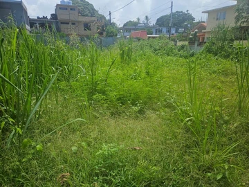 Residential Land