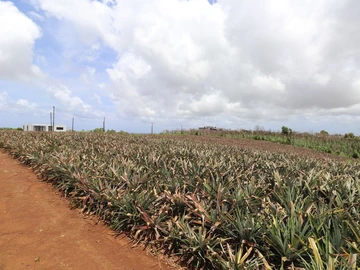 Residential Land
