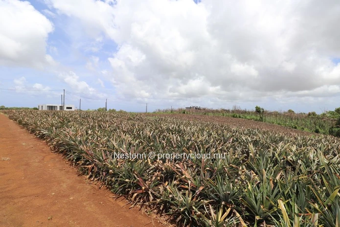 Land with breathtaking sea views
