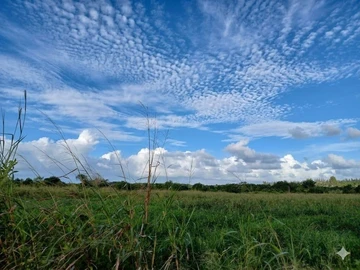 Agricultural Land