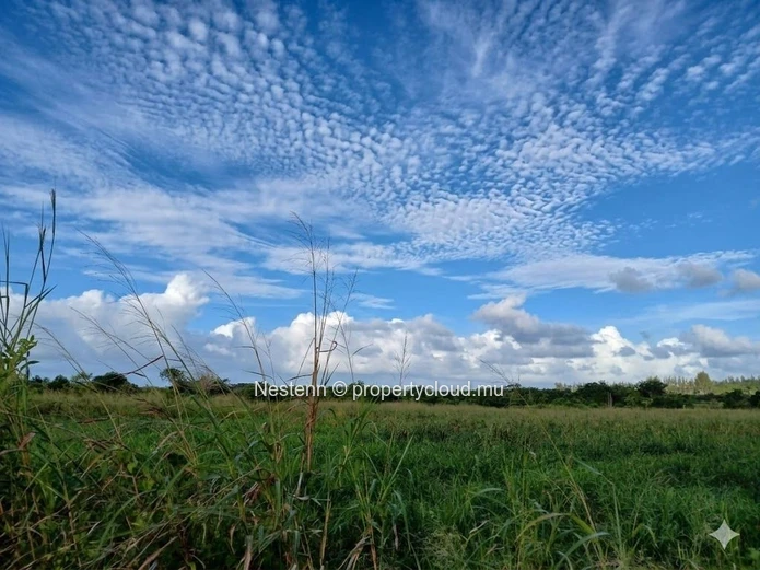 Terrain agricole de 11 107 m² (263 perches)