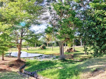 Residential Land