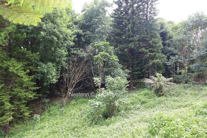 Exceptional commercial land with sea and mountain views